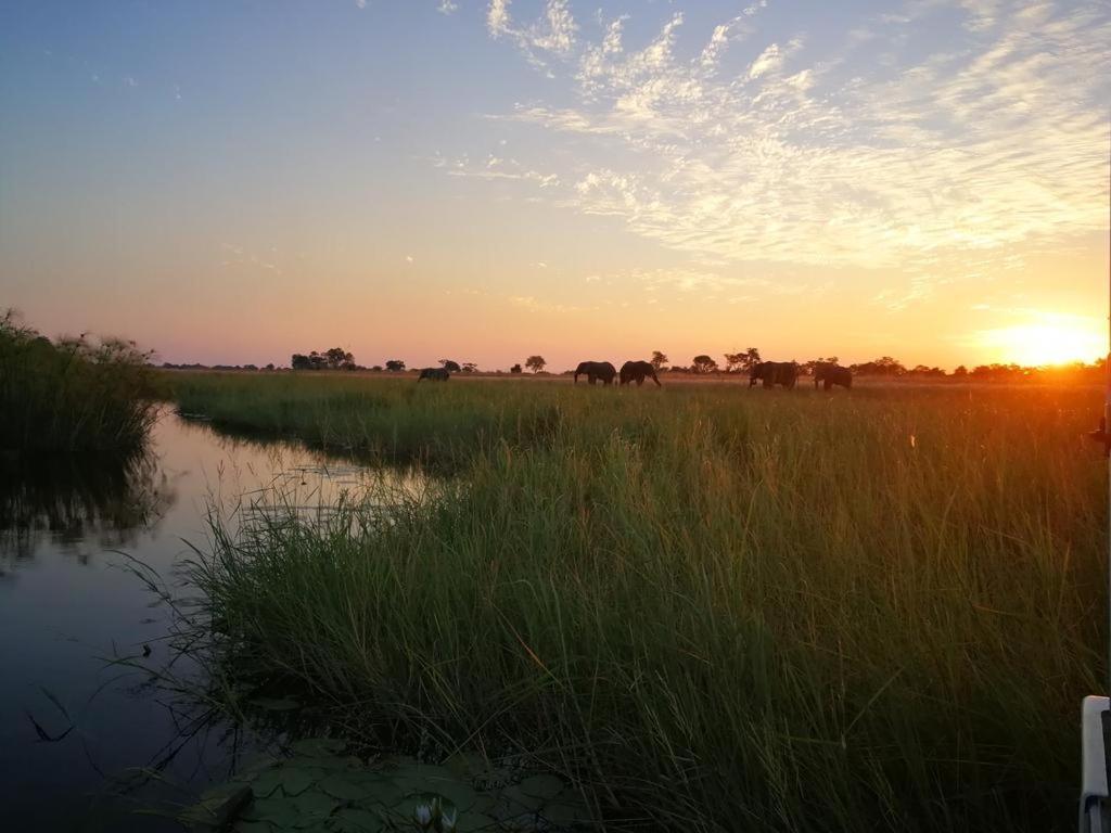 Kazondwe Camp And Lodge Kongola Екстер'єр фото